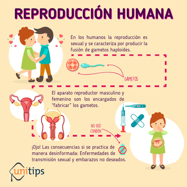 Reproducción Humana Guía Ipn 5165
